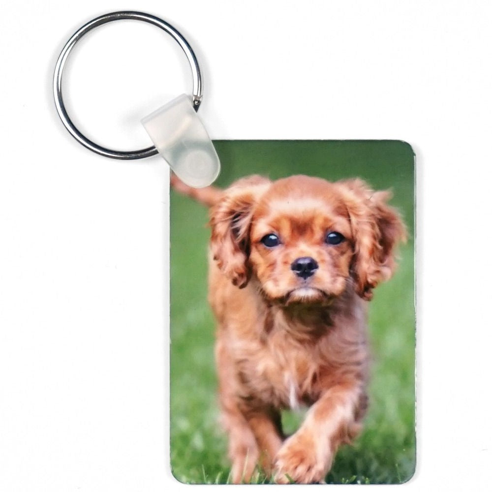 Monarch Sublimation Acrylic Keychain Tag,
Rectangle, 1.5" x 3" x .22"